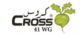 CROSS 41 WG