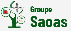 Groupe SAOAS