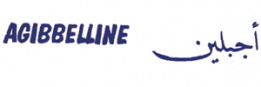 AGIBBELLINE