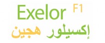 Exelor