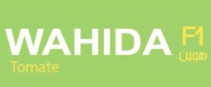 Wahida