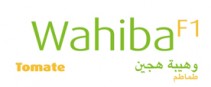 Wahiba
