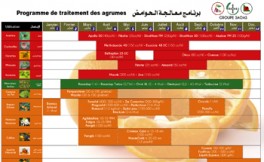 Citrus Processing Program