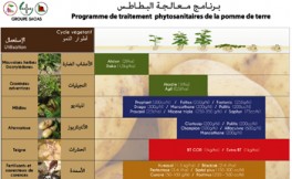 Programme traitement de la pomme de terre