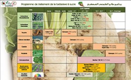 Sweet beet processing program