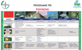 IPM Program Peppers