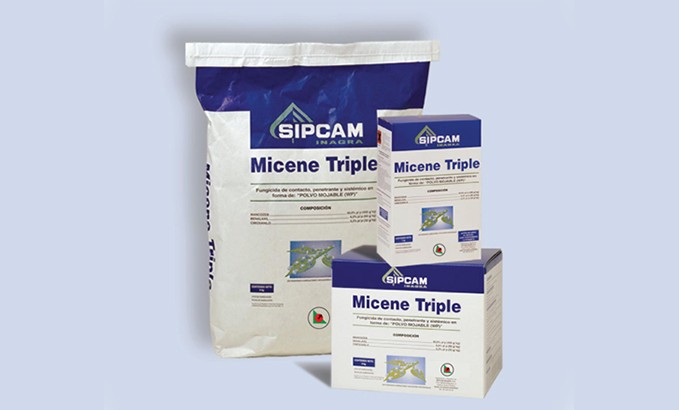 Micene Triple