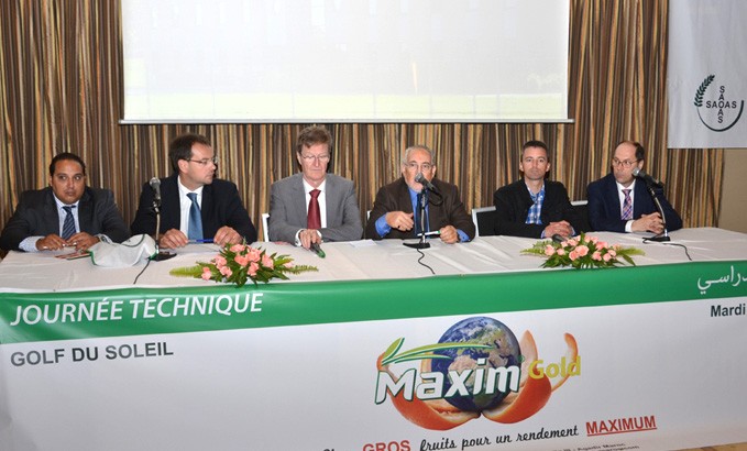 Groupe SAOAS-ALFACHIMIE MAXIMGOLD : DE PLUS GROS FRUITS POUR UN RENDEMENT MAXIMUM