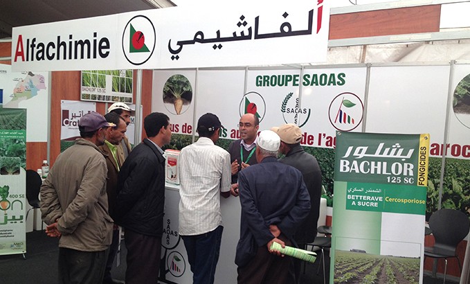 L’élevage à Sidi Benour