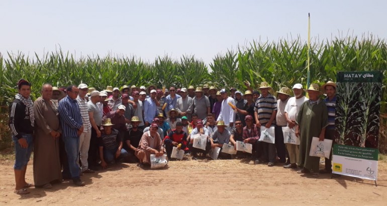 HATAY DAY in TAROUDANT