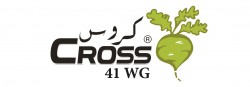 CROSS 41 WG